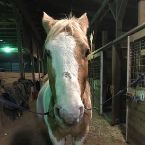 Meet your Posher, Maria